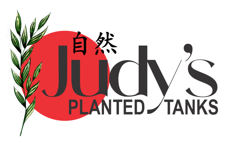 Judy's Planted Tanks
