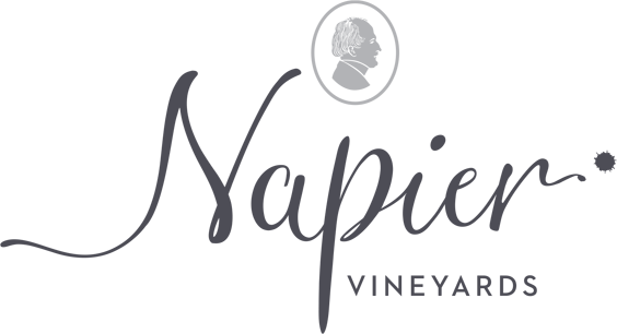 Napier Wineries